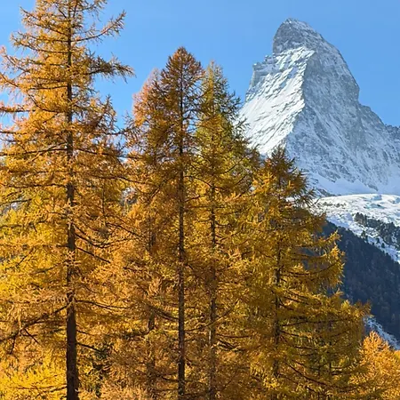 4478 * Zermatt